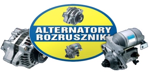 Logo Alternatory Rozruszniki Osiński